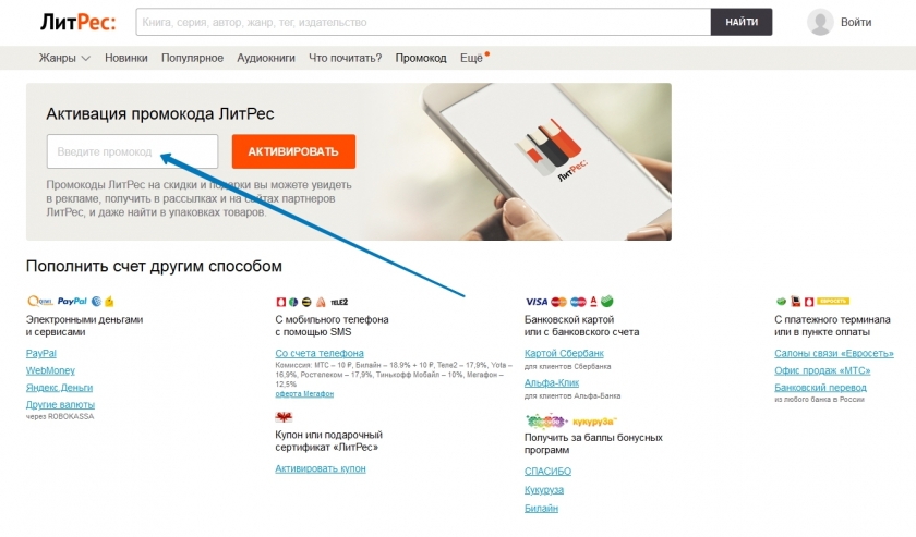 Куда вводить промокод на сайте ЛитРес